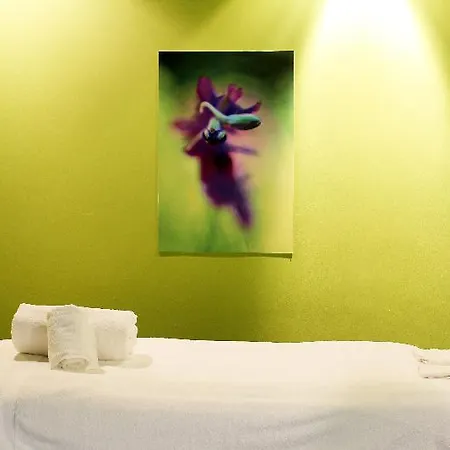 Quinta Vistas (adults Only) Hotell
