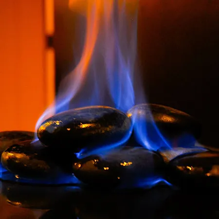 Quinta Vistas (adults Only) 5* فونشال